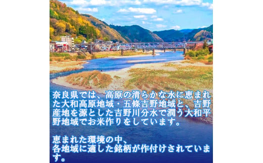 無洗米 奈良県産 ヒノヒカリ 15kg （5kg×3） ／ 全農パールライス 米 お米 白米 国産 奈良県 葛城市