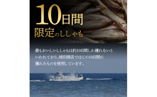 本場くしろ産 ししゃもオス・メス80尾入り！ 本ししゃも 魚 ししゃも 魚好きのオス プチプチたまごのメス 魚介 グルメ シシャモ 北海道産 国産 魚 魚介 海の幸 F4F-5542