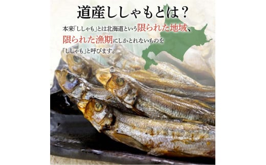 本場くしろ産 ししゃもオス・メス80尾入り！ 本ししゃも 魚 ししゃも 魚好きのオス プチプチたまごのメス 魚介 グルメ シシャモ 北海道産 国産 魚 魚介 海の幸 F4F-5542