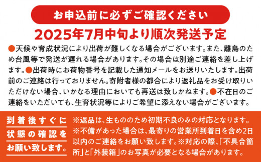 【2025年先行予約】南の島で太陽の日差しをたっぷり浴びた沖永良部産「完熟アップルマンゴー」2kg 　W014-008u