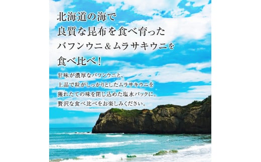 北海道産　世壱屋塩水ウニ（ムラサキウニ＆バフンウニ）各200g