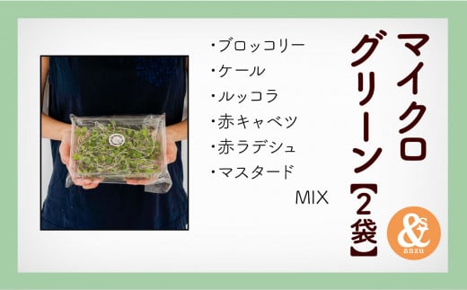 サラダ 野菜 調味料  人参 にんじんドレッシング 3本とマイクログリーン 2袋