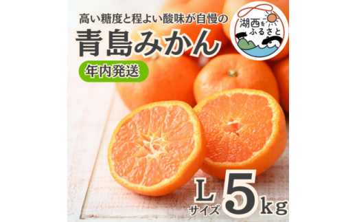 ＜年内発送＞＜12月より順次出荷予定＞青島みかん約5kg Lサイズ〔鈴木農園〕【1510097】