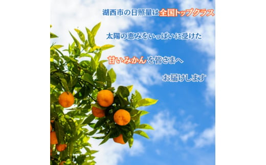 ＜年内発送＞＜12月より順次出荷予定＞青島みかん約5kg Lサイズ〔鈴木農園〕【1510097】