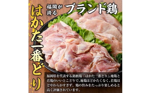 はかた一番どり とり天( 計1.5kg・300g×5P)国産 鶏肉 揚げ物 揚物 お惣菜 惣菜 おかず お弁当 晩御飯 おつまみ 小分け＜離島配送不可＞【ksg0398】【朝ごはん本舗】