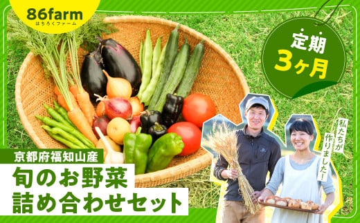 京都府福知山産　旬のお野菜詰め合わせセット（定期便３カ月）  ふるさと納税 定期便 旬の野菜 新鮮 お楽しみ 詰め合わせ セット 栽培期間中農薬 肥料不使用 京都府 福知山市 京都 福知山 ふるさと 奥京都