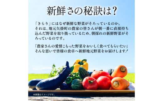 132. 旬の新鮮野菜詰め合わせセット 野菜5～10品目入 青空市きらり《30日以内に出荷予定》 岡山県 矢掛町 野菜 野菜詰め合わせ トマト きゅうり アスパラガス 玉ねぎ リーキ 送料無料