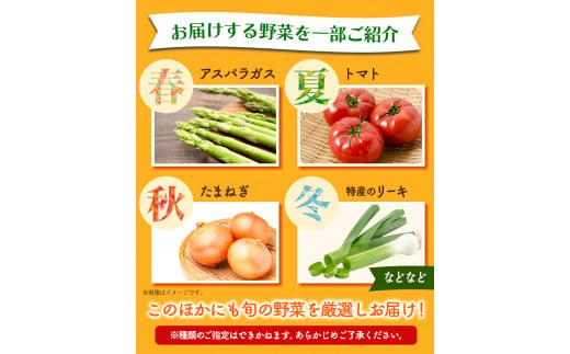 132. 旬の新鮮野菜詰め合わせセット 野菜5～10品目入 青空市きらり《30日以内に出荷予定》 岡山県 矢掛町 野菜 野菜詰め合わせ トマト きゅうり アスパラガス 玉ねぎ リーキ 送料無料