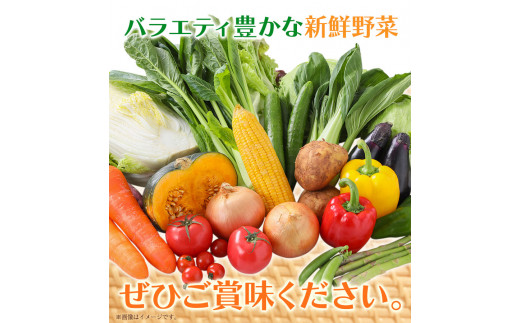 132. 旬の新鮮野菜詰め合わせセット 野菜5～10品目入 青空市きらり《30日以内に出荷予定》 岡山県 矢掛町 野菜 野菜詰め合わせ トマト きゅうり アスパラガス 玉ねぎ リーキ 送料無料