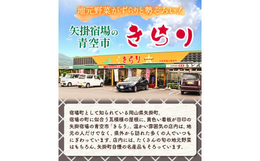 132. 旬の新鮮野菜詰め合わせセット 野菜5～10品目入 青空市きらり《30日以内に出荷予定》 岡山県 矢掛町 野菜 野菜詰め合わせ トマト きゅうり アスパラガス 玉ねぎ リーキ 送料無料