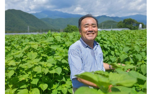 えごま畑！生産者さんの笑顔が素敵です☆