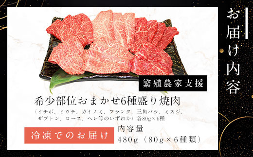 A4ランク以上！京都生まれ和牛 希少部位おまかせ6種盛り焼肉（イチボ、ヒウチ、カイノミ、フランク、三角バラ、ミスジ、ザブトン、ロース、ヘレ等のいずれか）各80g×6種 【繁殖農家支援】A4 A4以上 A4ランク 黒毛和牛 黒毛 牛 にく ニク わぎゅう 霜降り ふるさと納税 和牛 お肉 肉 希少部位 おまかせ 京都 JA 農協 京都府 福知山市