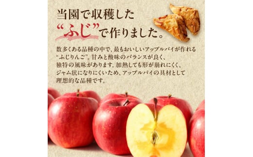 ニトリ果樹園 自家製 アップルパイ 10個