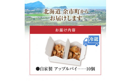 ニトリ果樹園 自家製 アップルパイ 10個