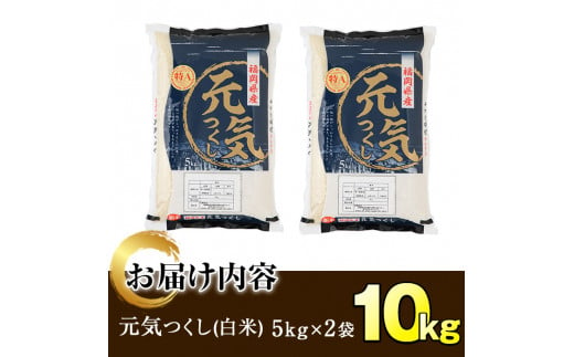 ＜令和6年産＞福岡県産ブランド米「元気つくし」白米(計10kg・5kg×2袋)お米 10キロ ごはん ご飯【ksg0378】【朝ごはん本舗】