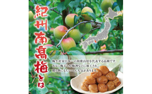 紀州南高梅　＜つぶれ梅＞うす塩2kg【ハチミツ入】塩分10%　なかやまさんちの梅干 うめ ウメ 梅干し【nky015-120k】