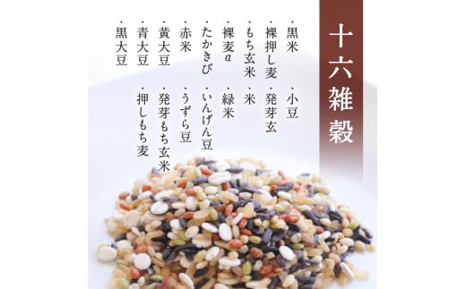 【2025年1月以降発送】十六雑穀ごはん 雑穀パックご飯 160g×36個 レトルト 雑穀パックごはん 雑穀 鳥取県日野町産コシヒカリ 米 こめ コメ おこめのみかた