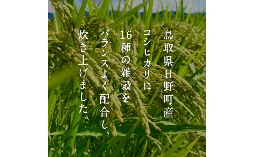 【2025年1月以降発送】十六雑穀ごはん 雑穀パックご飯 160g×36個 レトルト 雑穀パックごはん 雑穀 鳥取県日野町産コシヒカリ 米 こめ コメ おこめのみかた