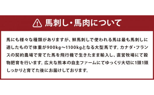 6種 馬肉バラエティ 約540g