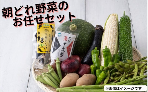 朝採れ岩美の野菜おまかせセット　※画像はイメージです。