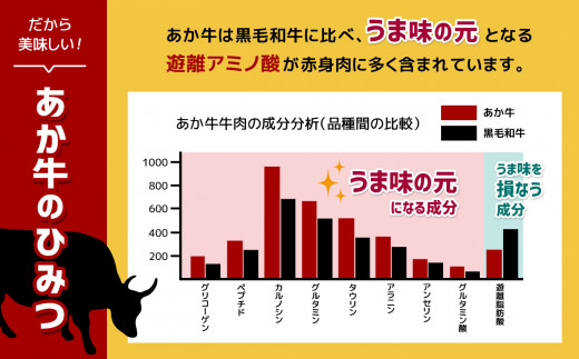 本場熊本産！あか牛 切り落とし 1000g | 熊本県 熊本 くまもと 和水町 なごみまち なごみ 牛肉 肉 あか牛 赤牛 肥後 冷凍