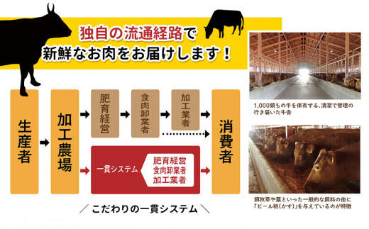 本場熊本産！あか牛 切り落とし 1000g | 熊本県 熊本 くまもと 和水町 なごみまち なごみ 牛肉 肉 あか牛 赤牛 肥後 冷凍