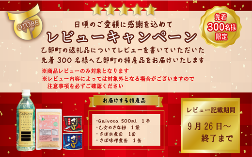 ＜Gaivota　2箱（2L×6本/箱）＞北のハイグレード食品 天然シリカ水  ミネラルウォーター  軟水 北海道産 北海道 乙部町 天然水 美容 ケイ素 無添加 シリカ ガイヴォータ 美肌 ミネラル 口当たり まろやか 備蓄 災害用 非常用