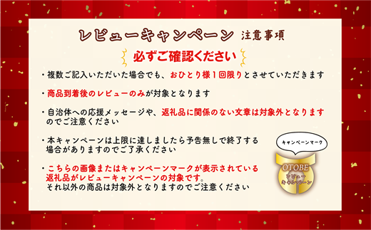 ＜Gaivota　2箱（2L×6本/箱）＞北のハイグレード食品 天然シリカ水  ミネラルウォーター  軟水 北海道産 北海道 乙部町 天然水 美容 ケイ素 無添加 シリカ ガイヴォータ 美肌 ミネラル 口当たり まろやか 備蓄 災害用 非常用