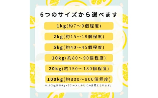 [12~1月発送] 広島県産 オーガニック瀬戸内レモン 5kg 化学肥料・除草剤・防腐剤・ワックス不使用 有機JAS 有機栽培 国産 瀬戸内 大崎上島 濃厚 甘さ控えめ 免疫力向上 健康 ビタミンC クエン酸 抗酸化 ソーダ 炭酸水