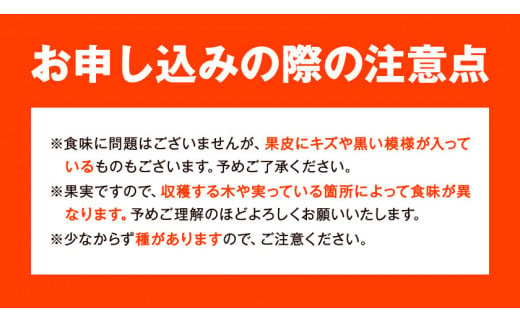 はるみ ＜先行予約＞青秀以上 紀州有田産 はるみ 約5kg（Lサイズ）厳選館《2025年1月下旬-3月上旬頃出荷》和歌山県 日高川町 フルーツ 果物 はるみ みかん