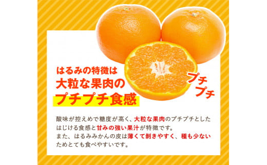 はるみ ＜先行予約＞青秀以上 紀州有田産 はるみ 約5kg（Lサイズ）厳選館《2025年1月下旬-3月上旬頃出荷》和歌山県 日高川町 フルーツ 果物 はるみ みかん