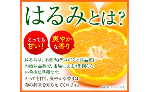 はるみ ＜先行予約＞青秀以上 紀州有田産 はるみ 約5kg（Lサイズ）厳選館《2025年1月下旬-3月上旬頃出荷》和歌山県 日高川町 フルーツ 果物 はるみ みかん