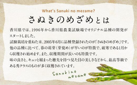 柔らかさと甘みが際立つ さぬきのめざめセミロング30cm(Lサイズ以上) 約1kg【2025-3月上旬～2025-6月下旬配送】