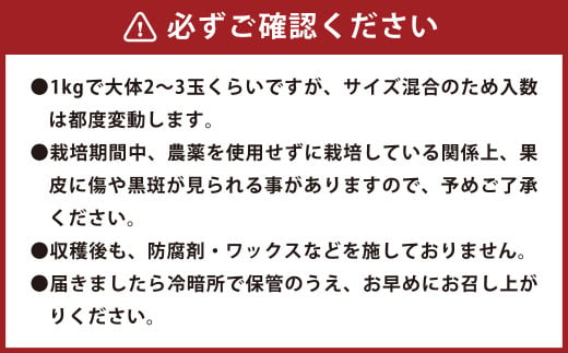 環境マイスターのパール柑 良品・訳あり混合 8kg