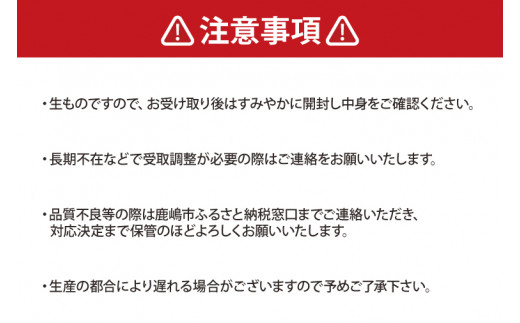 【数量限定！】【シャインマスカット粒どり】ぶどうの宝石箱 【シャインマスカット 粒どり 茨城県 鹿嶋市 葡萄 ブドウ】（KAE-6）