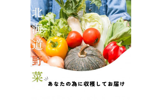 【4回定期便】【野菜ソムリエ厳選】北海道小樽産 旬の活野菜セットL 10種以上 120サイズ