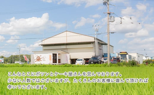 AA-369 お任せ：【10本セット】 新食感!?シュークリーム シュッシュ 5種食べ比べ シューアイス お試し 抹茶ミルクいちごチョコキャラメルナッツコーティング お中元 スイーツギフト お取り寄せ 冷たい 夏 インスタ映え お菓子 贈り物 個包装 送料無料 お見舞い すぐ 届く