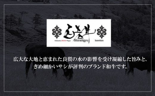 定期便12ヵ月 お楽しみ 北海道産 白老牛 カマンベールチーズハンバーグ 20個セット 冷凍 チーズ イン ハンバーグ