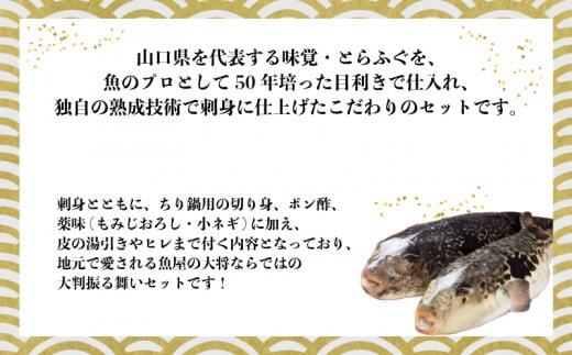 （冷凍お届け）山口県 魚千代 厳選 堪能 とらふぐ刺身セット  ３～４人前 (刺身 150g・ちり用ふぐ 360g・ヒレ 5枚・皮湯引 90g）薬味付き　【山口県 宇部市 極上 厳選 お鍋 雑炊 ヒレ酒  お手軽 魚 ポン酢 ふぐ刺し ふぐ フグ 刺身 】