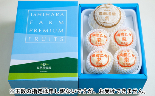 梨 2024年 先行予約 備前横綱梨（あたご梨） 超大玉1玉 1.3kg～1.4kg・備前乙女梨（鴨梨） 2～4玉 詰合せ 合計3.0kg以上 贈答箱 岡山県産 フルーツ ギフト 石原果樹園 [№5735-1162]