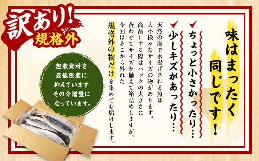 訳あり規格外 業務用無添加さば文化干し 1.9kg