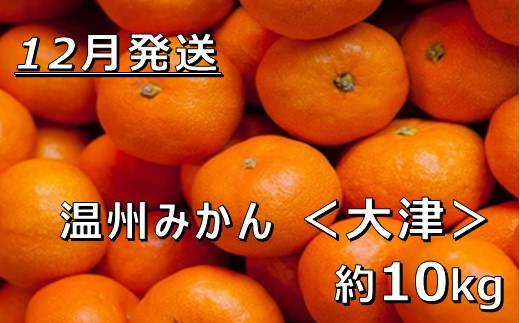 【12月中発送】【JAかながわ西湘】濃厚な甘さが自慢の「温州みかん（大津）」10ｋｇ