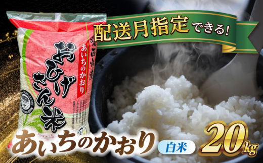 【8月発送】あいちのかおり　白米　20kg　米　お米　ご飯　愛西市/脇野コンバイン [AECP003-11]