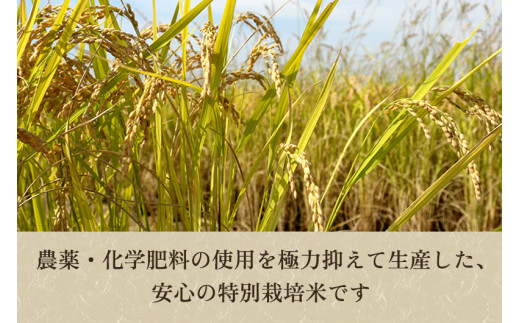 【令和6年産新米】【定期便6ヶ月毎月お届け】【5分づき】新潟県加茂市産 特別栽培米コシヒカリ 精米 2kg 従来品種コシヒカリ 加茂有機米生産組合