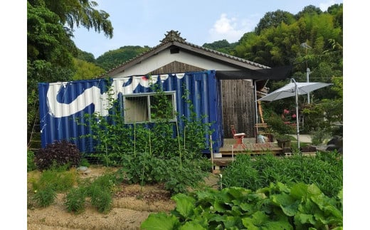 季節の手作りジャム６種類セット 愛媛県 松山市 ファームメイドジャム 手作りジャム