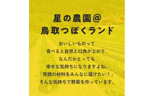 甘味究極！ 糖モロ濃シ 特大サイズ 3kg(5～6本)【とうもろこし】朝どれ直送 スイートコーン 産地直送 【配送不可地域：北海道・東北・沖縄・離島】 鳥取県日南町 星の農園