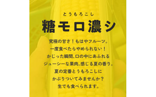 甘味究極！ 糖モロ濃シ 特大サイズ 3kg(5～6本)【とうもろこし】朝どれ直送 スイートコーン 産地直送 【配送不可地域：北海道・東北・沖縄・離島】 鳥取県日南町 星の農園