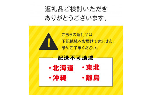 甘味究極！ 糖モロ濃シ 特大サイズ 3kg(5～6本)【とうもろこし】朝どれ直送 スイートコーン 産地直送 【配送不可地域：北海道・東北・沖縄・離島】 鳥取県日南町 星の農園