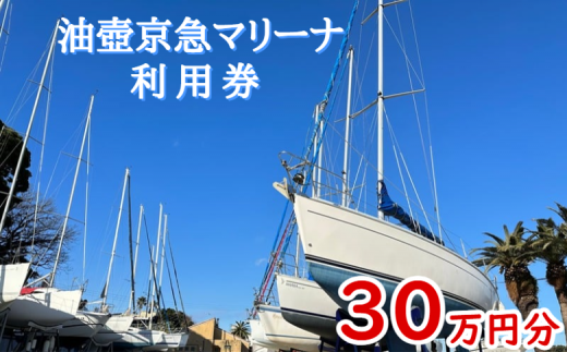 B1110-001 油壺京急マリーナ利用券30万円分