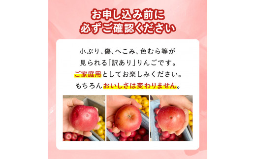 【訳あり】りんご 奥州ロマン 1.8kg 8〜9玉 小ぶり 数量限定 期間限定 高糖度 希少 リンゴ 林檎 フルーツ 果物 金ケ崎町産 岩手県